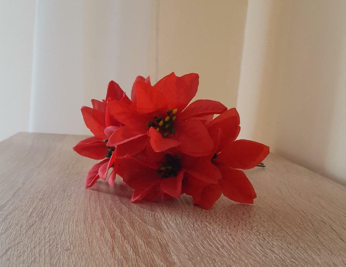 Apartament Gia Nagyvárad Kültér fotó